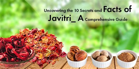 what is javitri in english|Uncovering the 10 Secrets and Facts of Javitri: A Comprehensive Guide.